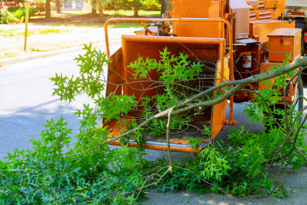 Best Weed Control  in USA